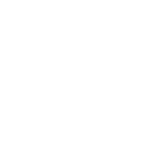 copy-icon